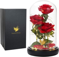 Valentines Day Gifts for Her,Beauty and The Beast Rose in Glass Classic Red