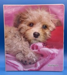 Vintage Class Act Maltipoo Puppy Dog 3 Ring Binder Keith Kimberlin 2 pockets