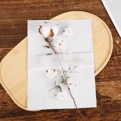 50pcs Vellum Belly Band, Clear Invitation Band for 5×7 12.2×1.57 inch,