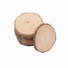 Wood Slices Round Discs Tree Bark Log Wooden Circles Rustic Craft DIY 3cm – 30cm