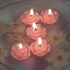 12 PINK Mini Roses Floating CANDLES Party Wedding Centerpieces Supplies