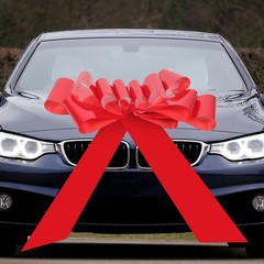 Reusable Wedding Car Bow PVC Material Large Red Bow for Decor and Special Events