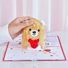Lovepop Plushpop Soft Animal Pop-Up Card for Her and Him – 3D Bear Everyday G…