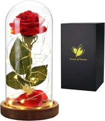 Valentines Day Gifts for Her,Valentines Decor Beauty and The Beast Rose Flowers