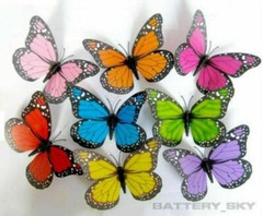 3D Colorful Artificial Butterflies Dummy Craft Wedding Party Floral Decor Gift*1