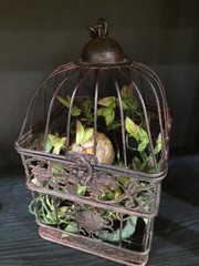 Vintage Decorative Metal Bird Cage French Country Cottage Decor w/Nest and Chick