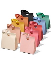 Paper Gift Bags With Ribbon Handles Set of 10 Small Size/10pcs 10 Mixed Colors