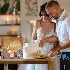Spring Brown Wedding Card Box for Reception with Heart Acrylic Window Summer Vi