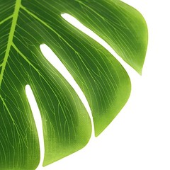 12 GREEN Monstera LEAVES ARTIFICIAL Tropical Greenery Party Events Decorations