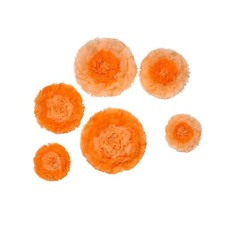 12 pack 12″ 16″ 20″ Coral and Orange Tissue Paper Carnation Flowers Backdrop