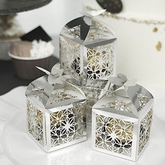 SILVER 25 Lacer Cut Lace Design FAVOR BOXES with Butterfly Top Party Decorations