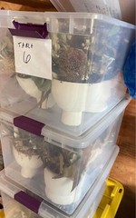 Fall wedding? Real Dried Flower Centerpieces!