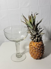 Giant Clear Wine Glass Novelty Table Decorative Display Centerpiece Jumbo