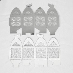 SILVER 25 Lacer Cut Lace Design FAVOR BOXES with Butterfly Top Party Decorations