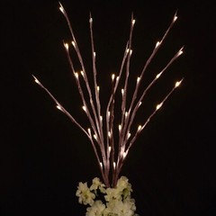 Brown 3 Warm White 31 in LED TREES Lighted Artificial Branches Party Decorations