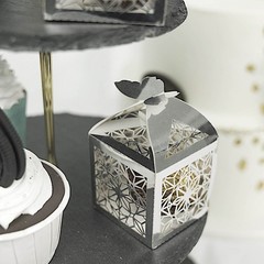 SILVER 25 Lacer Cut Lace Design FAVOR BOXES with Butterfly Top Party Decorations