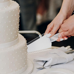Suclain 50 Pieces Clear Disposable Cake Knife Bulk for Wedding Party 9.1 Inch Pl