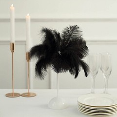 15″ Ostrich Feather LED TABLE LAMP Centerpiece Battery Operated Desk Light Party