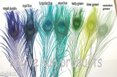 50 Peacock Feathers w/ Eyes 30-35″ L Bleached & dyed Your choice of 21 colors