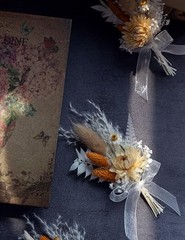 Mini Dried Flowert Set (Pack of 6) Small Bouquet, Pampas Small Bouquet, Orange