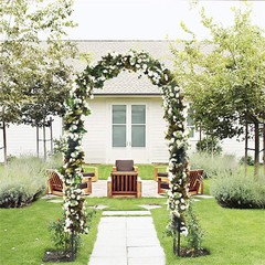 Outdoor Metal Black Wedding Arch Curved Garden Arbor for Climbing Plants Trellis