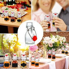 Swing Top Glass Bottles Set of 30, 2oz Small Airtight Bottles with Swing Top