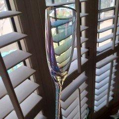 NEW ANTRHOPOLOGIE ALTA FLUTE GLASS CHAMPAGNE GLASS SINGLE BEAUTIFUL REPLACEMENT