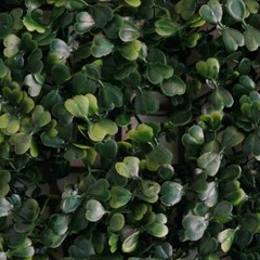 8 Faux Artificial Foliage Green Large Leaves Wall Panels Mats Hedge