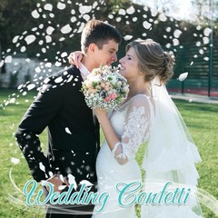 Real Dried , Frozen Preserved Petals for, Wedding Party Decorations, Confett…