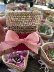 20 Succulent In Decorative Wrap For Wedding Favor, Party Favor
