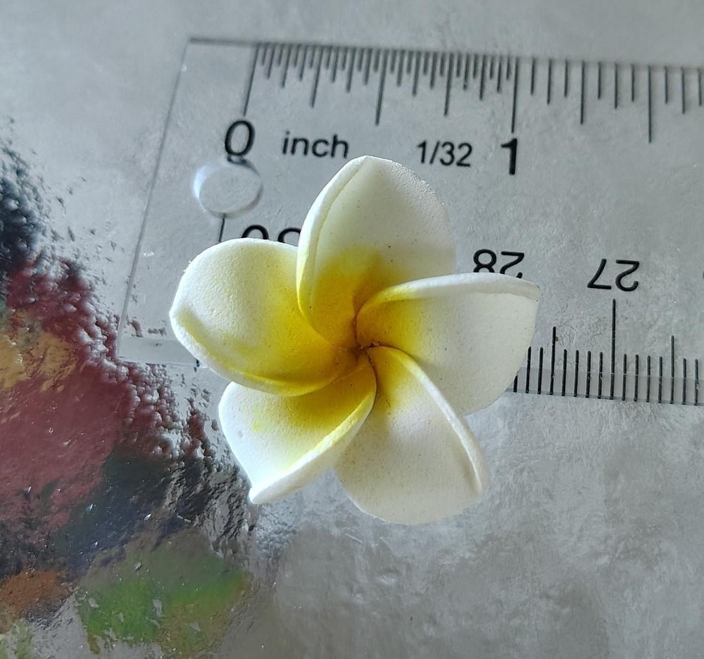 white foam plumeria flower 100 pcs 1 + plus inch