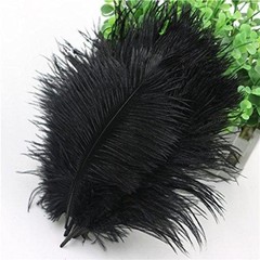 12 pcs 24-26″ long Black Genuine Ostrich FEATHERS Wedding Party Centerpieces
