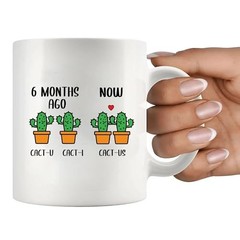 6 Month Anniversary Cactus Boyfriend Gifts From Girlfriend 11 Ounces White