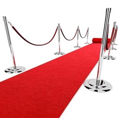 3×10 ft Extra Thick Red Carpet Runner for Party & Events,Festival