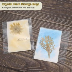 5″x 3.5″ Acid-Free Picture Sleeve, 200Pack Crystal Clear Sleeves Storage Bags