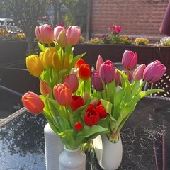 10pcs Multicolor Artificial Tulip Bundle with 5pcs Purple and 5pcs Light Purple