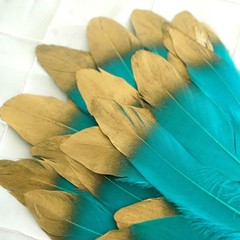 90 TURQUOISE with Metallic Gold Tip Natural Goose Feathers Wedding Decorations