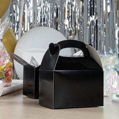 Bio Tek 4 X 2.5 X 2.5 Inch Gable Boxes for Party Favors, 25 Attractive Gift Boxe
