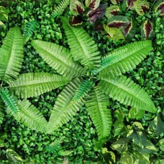 9-Piece Lifelike Artificial Boxwood Panels for Garden and Home Decor