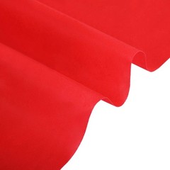 Chic Lightweight Red Aisle Runner 24 x 15 ft – Ideal for Weddings & Celebrations