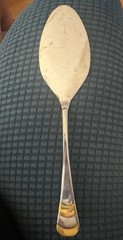 Gottinghen 24k Gold Plated 18/10 Stainless Steel Cake Server