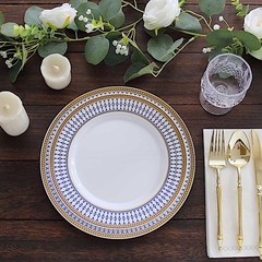 10 WHITE 9″ Round Plastic Salad PLATES NAVY BLUE Chord Rim Party Decorations