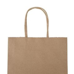 100 Pack 8×4.75×10 inch Plain Medium Paper Brown Kraft Bags with Handles Bulk