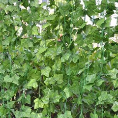 192 Feet – 24 Artificial Ivy Vine Fake ivy Silk Greenery Wedding Party Garlands