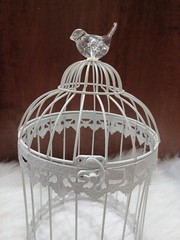 Bird Cage Wishing Well Alternative For Wedding Money Gift Round Metal Birdcage