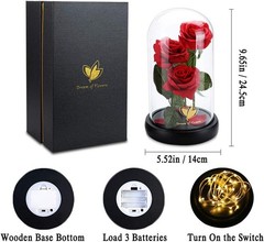 Valentines Day Gifts for Her,Valentines Decor Beauty and The Beast Rose Flowers