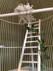 French Victorian Large Bird Cage 6 ft (Approx) Wedding Card Holder