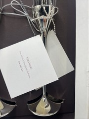 VERA WANG Wedgwood .999 Pure Silverplated Crystal LOVE KNOTS Toasting FLUTES