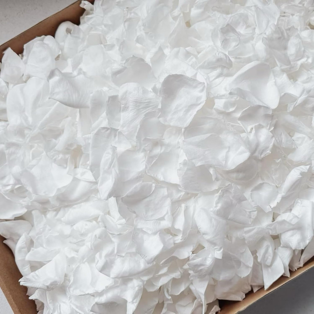 300 PCS Real White Rose Petals for Wedding, 2.82oz Fresh Rose Petals for Flower