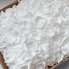 300 PCS Real White Rose Petals for Wedding, 2.82oz Fresh Rose Petals for Flower